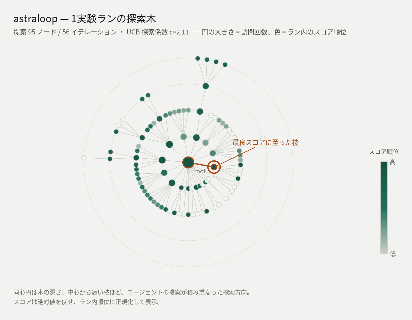 astraloopの1実験ランで生成された95ノード、56イテレーションの探索木。円の大きさが訪問回数、同心円が木の深さ、色がラン内のスコア順位を示す。